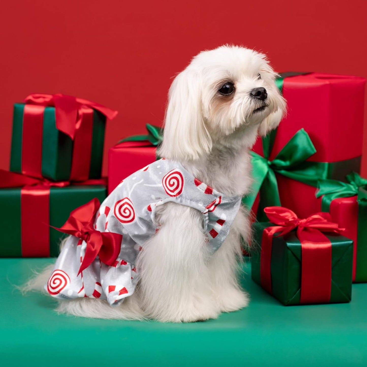 Christmas Candy Canes Dog Dress, Cute Dog Christmas Outfit, Doggy Clothes for Small Dogs Girl, Pet Apparel, Silver, Red, White, XXS