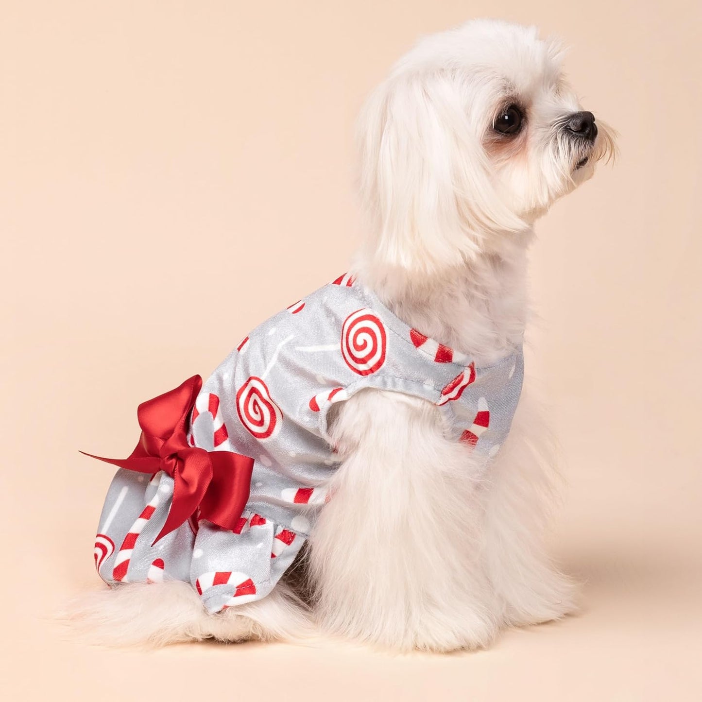 Christmas Candy Canes Dog Dress, Cute Dog Christmas Outfit, Doggy Clothes for Small Dogs Girl, Pet Apparel, Silver, Red, White, XXS
