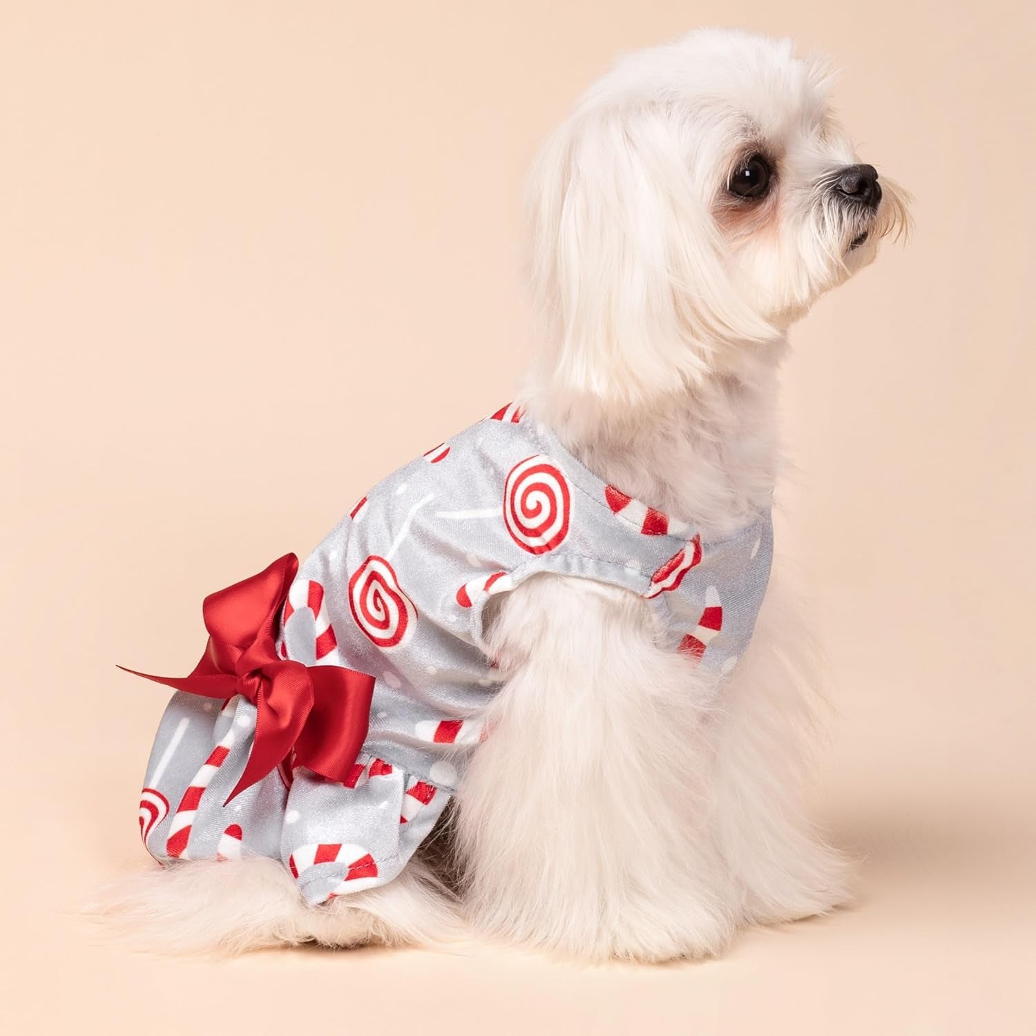 Christmas Candy Canes Dog Dress, Cute Dog Christmas Outfit, Doggy Clothes for Small Dogs Girl, Pet Apparel, Silver, Red, White, XXS