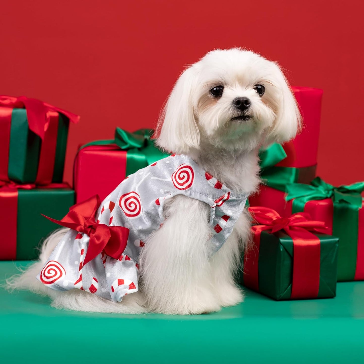 Christmas Candy Canes Dog Dress, Cute Dog Christmas Outfit, Doggy Clothes for Small Dogs Girl, Pet Apparel, Silver, Red, White, XXS