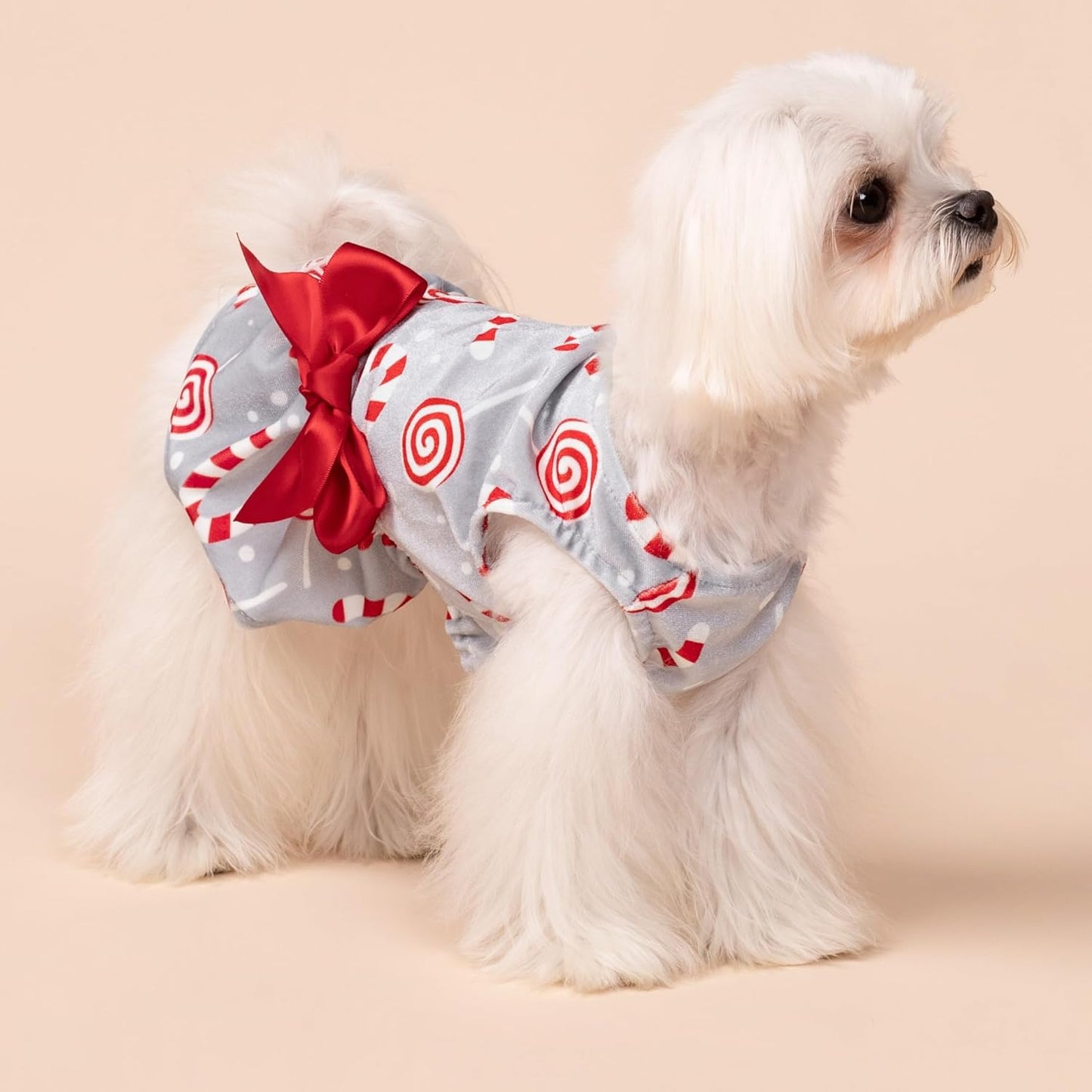 Christmas Candy Canes Dog Dress, Cute Dog Christmas Outfit, Doggy Clothes for Small Dogs Girl, Pet Apparel, Silver, Red, White, XXS